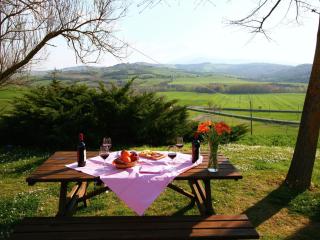 Farmhouse in Pienza with Pool and Views - Contignano - 3