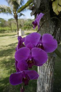 Dong Hua Dream House - 3