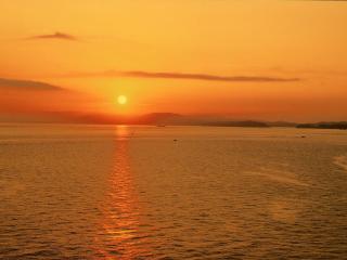 Hotel New Awaji - Sumoto - 9