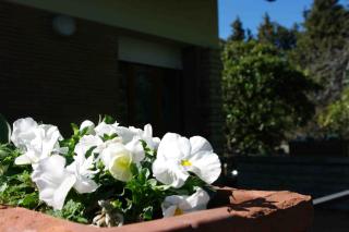 B&B Tre Conigli sul Comò - Foligno - 9