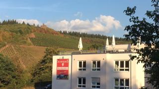 Schroeders Wein-Style-Hotel - Treviri - 3