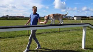 Thorsminde Camping & Cottages - 3