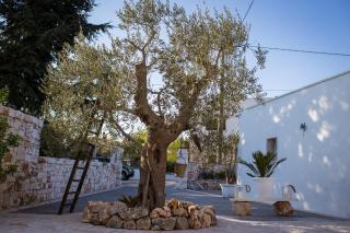 Residenze nei Trulli - 1