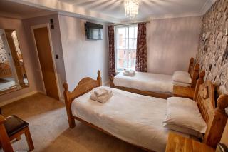 The Elephant & Castle Hotel - Newtown - 9
