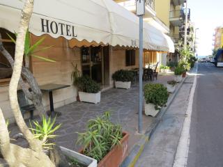 Hotel Fortuna - San Bartolomeo al Mare - 0
