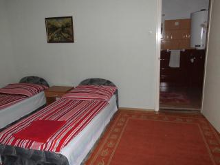 Fenyves Apartman - Sárospatak - 7