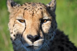 Hopewell Private Game Reserve - Buyskloof - 9