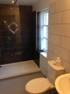 The Elephant & Castle Hotel - Newtown - 6