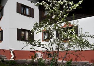 Gästehaus Sylvia - Biberwier - 1