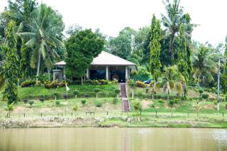 The Farm - Paya Rewak - 8