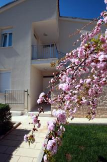 Apartments Sea View Kozino - 6