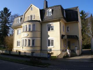 Park-Villa - Bad Steben - 5
