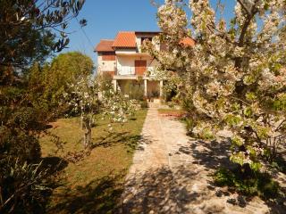 Mandić Rooms - Goriš - 0