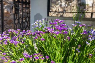 Apartman Haraciceva - 5