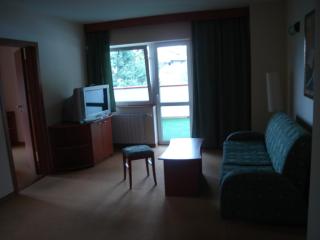 Hotel Seasons - Trjavna - 6