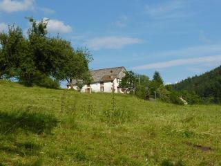 Charming holiday home near the ski slopes - Vagney - 5