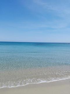 B&B L'Asfodelo - Villa San Pietro - 2