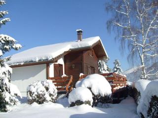 Comfy chalet with dishwasher, in the High Vosges - 0