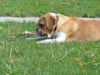 Kristiansminde Farm Holiday - 3