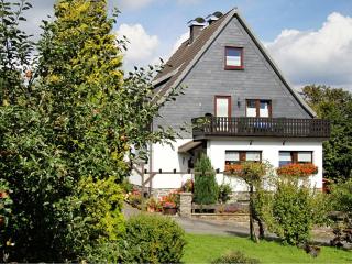 Apartment in Langewiese Sauerland with garden - Winterberg - 5