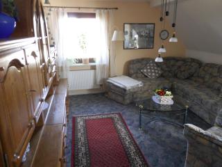 Apartment in Langewiese Sauerland with garden - Winterberg - 6