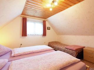 Holiday Home in Sohl near Bad Elster Spa - Bad Elster - 1