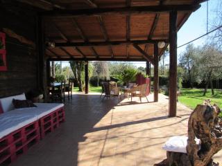 The lake chalet - Bracciano - 4