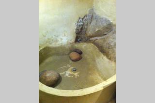 Chez Caro - Corbara - 1