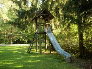 Well-kept apartment in a wooded area - Schönecken - 4