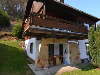 Apartment in beautiful Harz region with terrace - Kamschlacken - 3