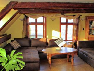 Apartment in farm on the edge of the Lüneburg - Langlingen - 8