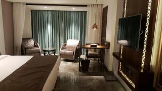 Hotel Peninsula Redpine - Bombay - 6
