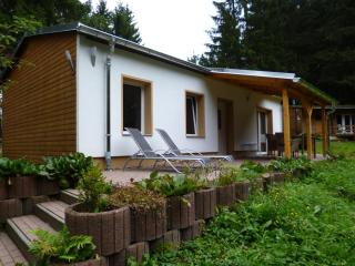 Holiday Home in Thuringia with Sauna - Finsterbergen - 6