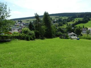 Holiday Home in Altenfeld with Terrace - Altenfeld - 5