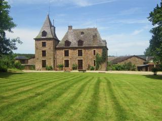 Castle Bodeux with private pool and sauna - Basse-Bodeux - 8