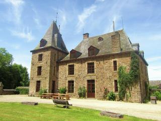 Castle Bodeux with private pool and sauna - Basse-Bodeux - 0