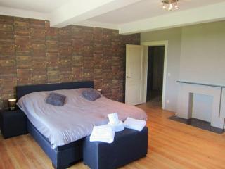 Castle Bodeux with private pool and sauna - Basse-Bodeux - 6