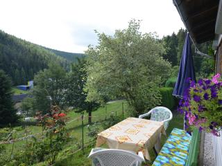 Holiday home in Thuringia - Neuhaus am Rennweg - 1