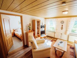 Apartment near the forest in Plankenstein - Plankenfels - 2