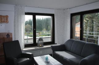 Ferienappartement mit Schwimmbad und Alpenblick - Höchenschwand - 6