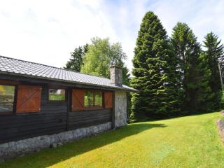 Holiday Home in Ardennes Forest Retreat - Vencimont - 1