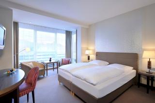 Hotel Ritter Durbach - Durbach - 7