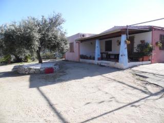 Villa L'Oleandro - Oliena - 3