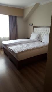 Hanul Domnesc Imperial Hotel & SPA - Călan - 1