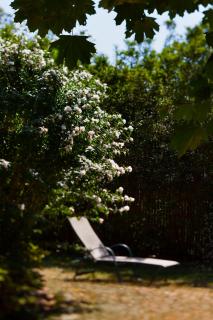 Captain's House Inn - 3