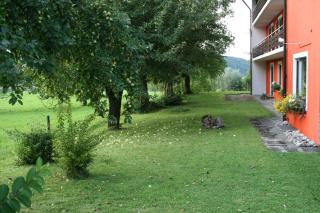 Bergener Hof - Bergen - 7