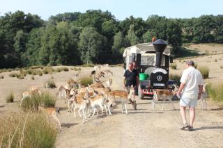Auberge de la Normandie - 5