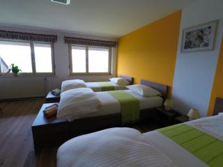 Lakeview Apartment Maja near Bled - Breznica - 3