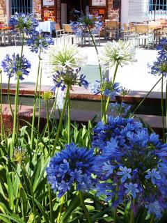 Hostal Rey - Santa Eularia des Riu - 4