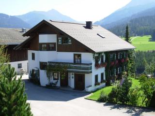 Apartment Deml - Flachau - 1